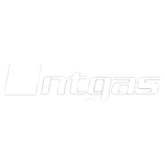 INTGAS