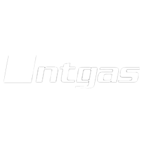 INTGAS